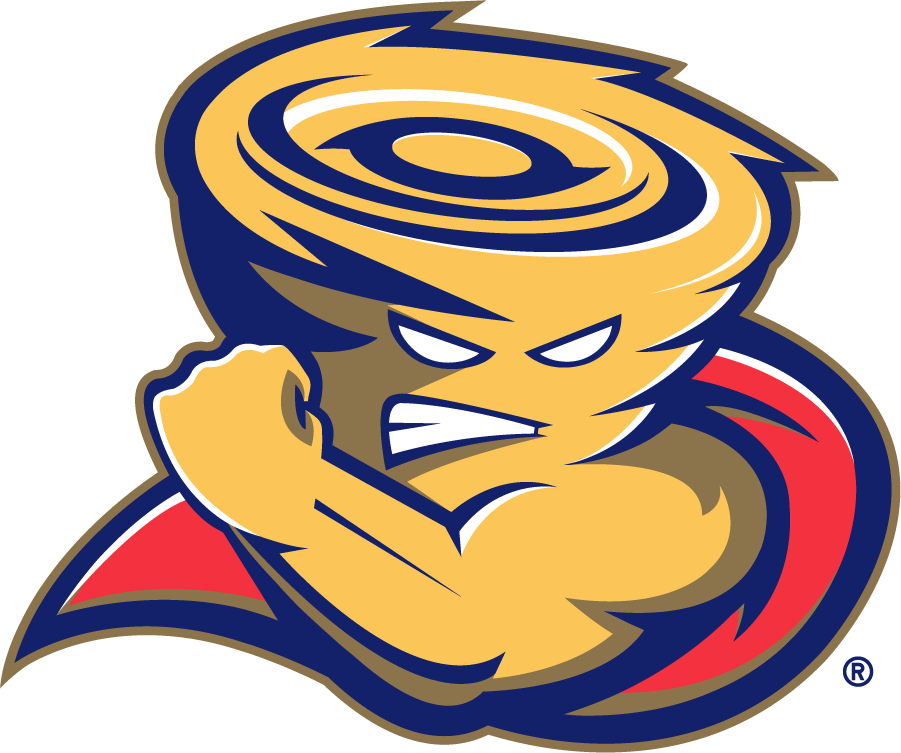 Tulsa Golden Hurricane 2006-2009 Mascot Logo iron on transfers for clothing